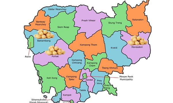 Potato Research Centre Cambodia identifies best locations for potato cultivation