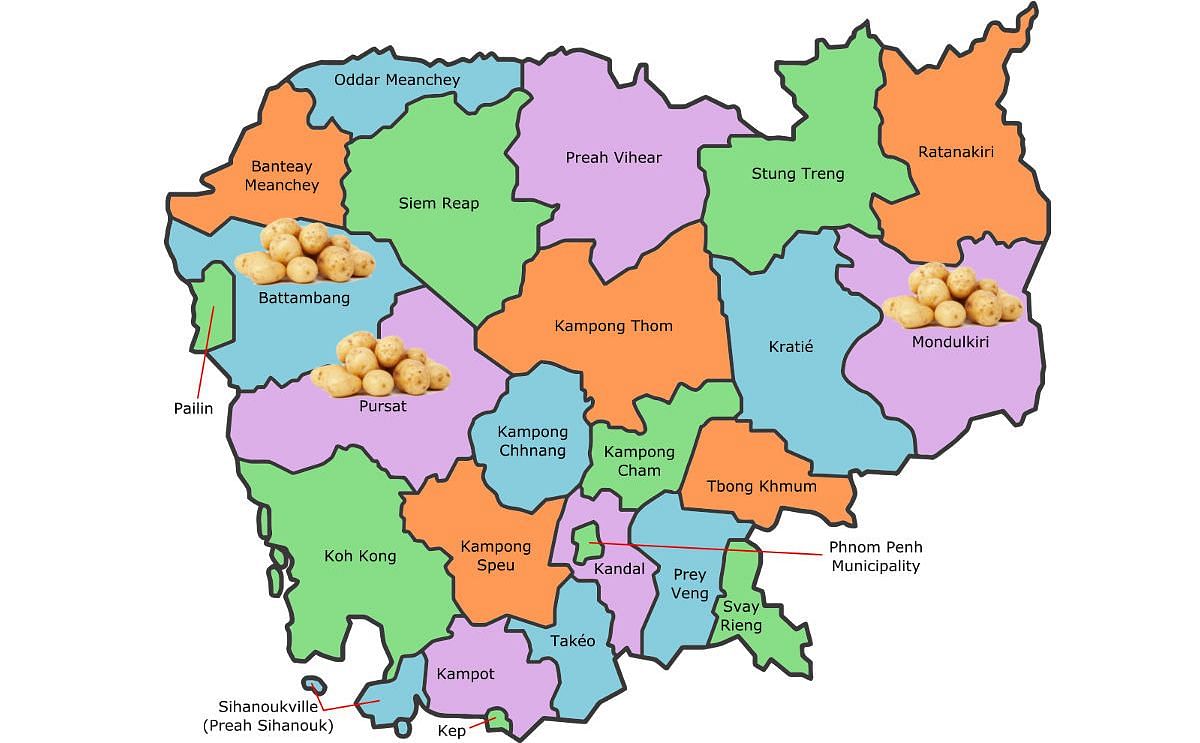 After three months of testing, the preliminary results indicate that the provinces of Pursat, Battambang, and Mondulkiri are the most suitable for growing potatoes