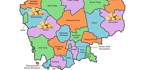 Potato Research Centre Cambodia identifies best locations for potato cultivation