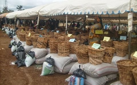 In 2014 these farmers in Cameroon received free seed potatoes, also intended to bring potato production to a higher level. 