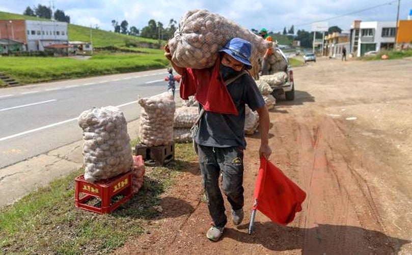 Productores de papa de Ventaquemada (Boyacá) denuncian prácticas de comercio desleal en las importaciones de este producto. Productores de papa de Ventaquemada (Boyacá) denuncian prácticas de comercio desleal en las importaciones de este producto.