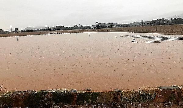 Las lluvias en España retrasan la cosecha de patatas tardanas en Mallorca