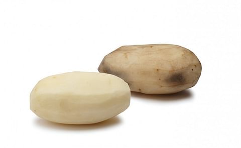 Canadá venderá papas genéticamente modificadas resistentes al pardeamiento Canadá venderá papas genéticamente modificadas resistentes al pardeamiento