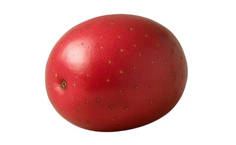 CANADA ROSE CANADA ROSE