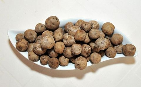 Islas Canarias ayudará agricultores con cosechas de papas afectadas por la polilla Islas Canarias ayudará agricultores con cosechas de papas afectadas por la polilla