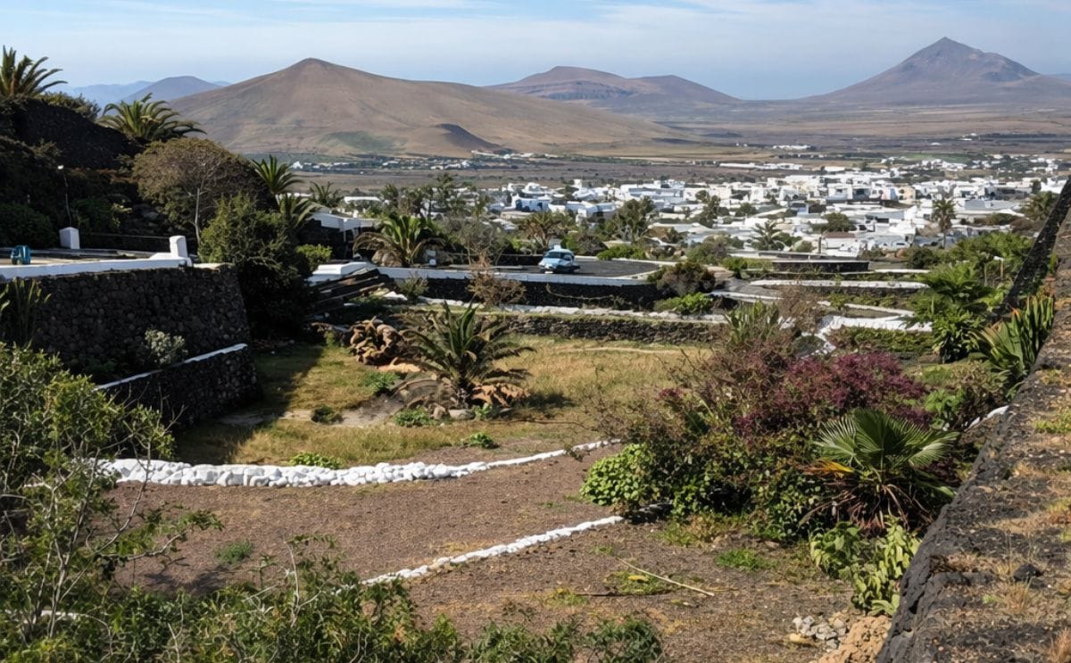 Regulations are frustrating the import of potatoes to the Canary Islands