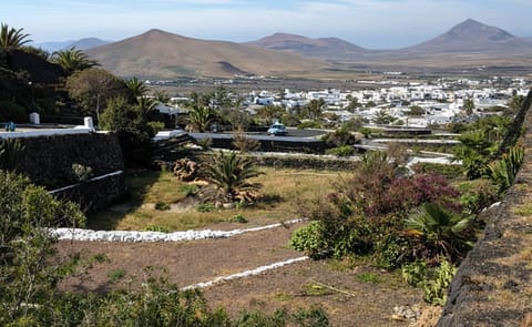 Regulations are frustrating the import of potatoes to the Canary Islands Regulations are frustrating the import of potatoes to the Canary Islands