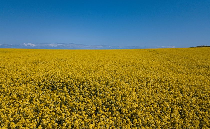 Bunge expands canola processing capacity in Canada