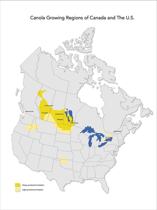 Regions in North America where Canola is grown