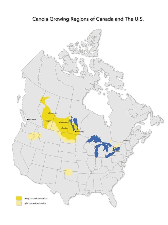 Regions in North America where Canola is grown Regions in North America where Canola is grown