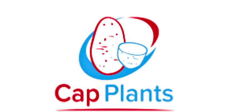 Cap Plants