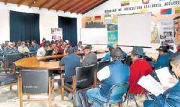  Productores de papa se reunieron en las oficinas del Magap en Chimborazo (Ecuador). Foto: ELIZABET MAGGI para El Telégrafo