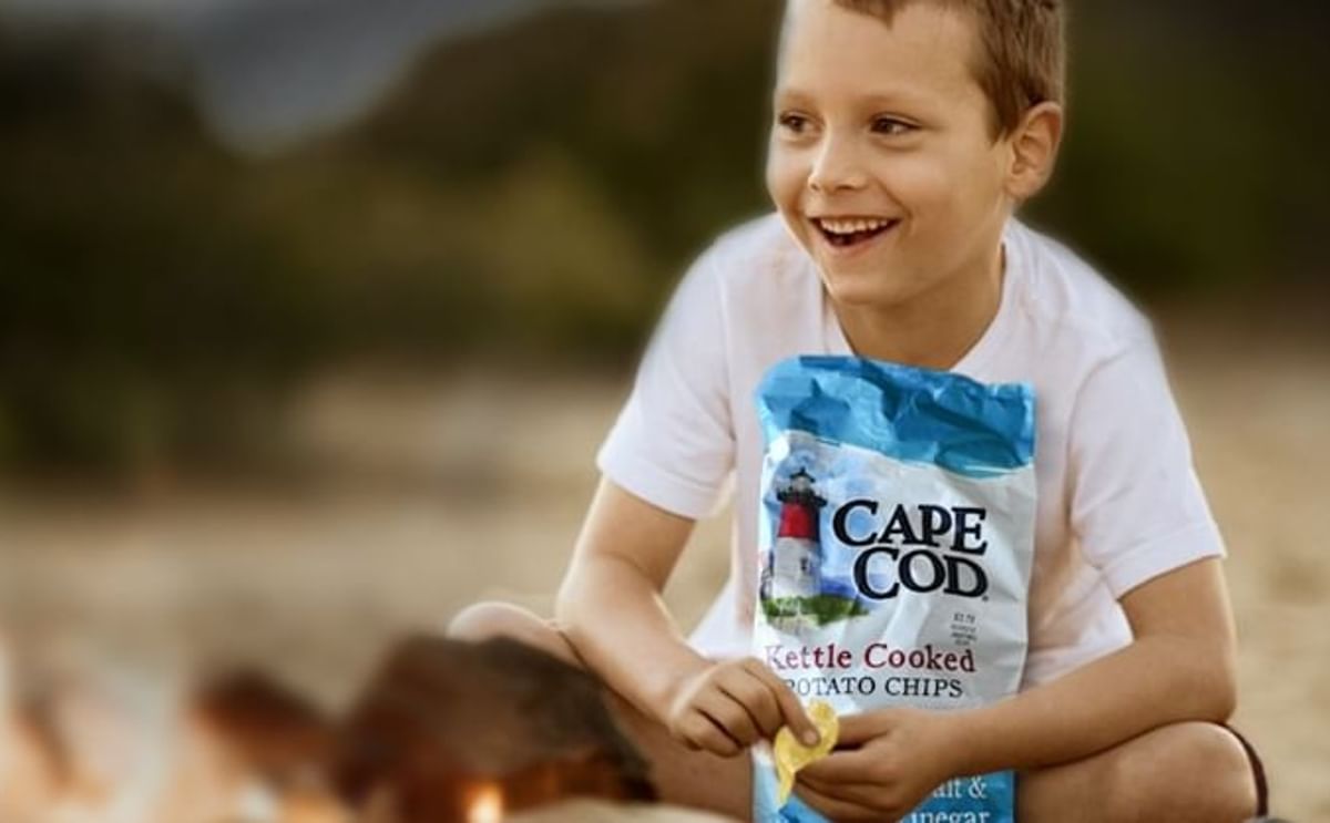 Snyder's - Lance 2015 second Quarter core brand sales were led by Cape Cod® Kettle Chips which grew at double digits