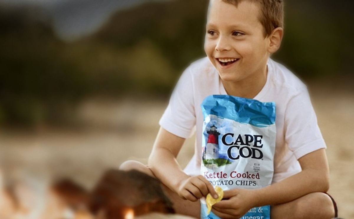 Snyder's - Lance 2015 second Quarter core brand sales were led by Cape Cod® Kettle Chips which grew at double digits