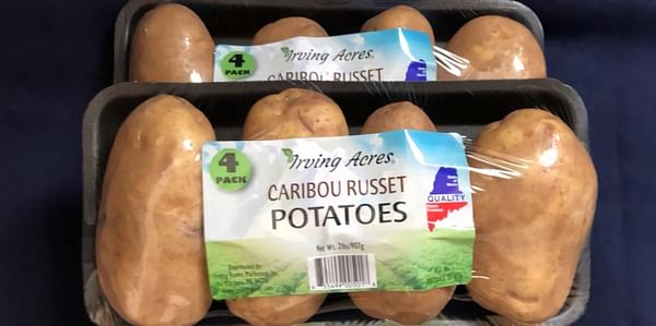 A new Maine Potato Variety, the Caribou Russet, sees an increasing popularity