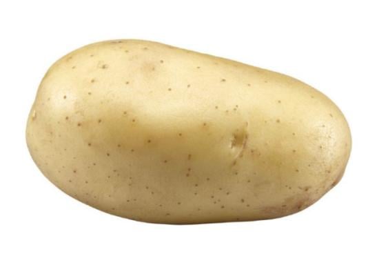 Carisma is a new and unique potato variety Carisma is a new and unique potato variety