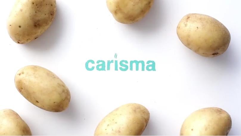 Introducing the Carisma Potato Introducing the Carisma Potato