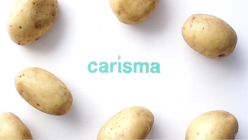Introducing the Carisma Potato