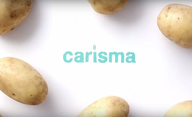 Introducing the Carisma Low Glycemic Response potato Introducing the Carisma Low Glycemic Response potato