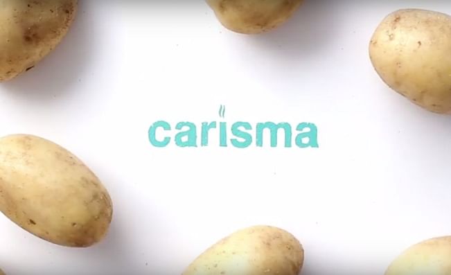 Introducing the Carisma Low Glycemic Response potato