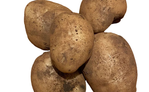 Carlingford Carlingford