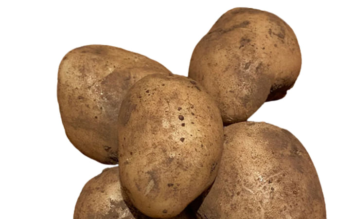 Carlingford Carlingford