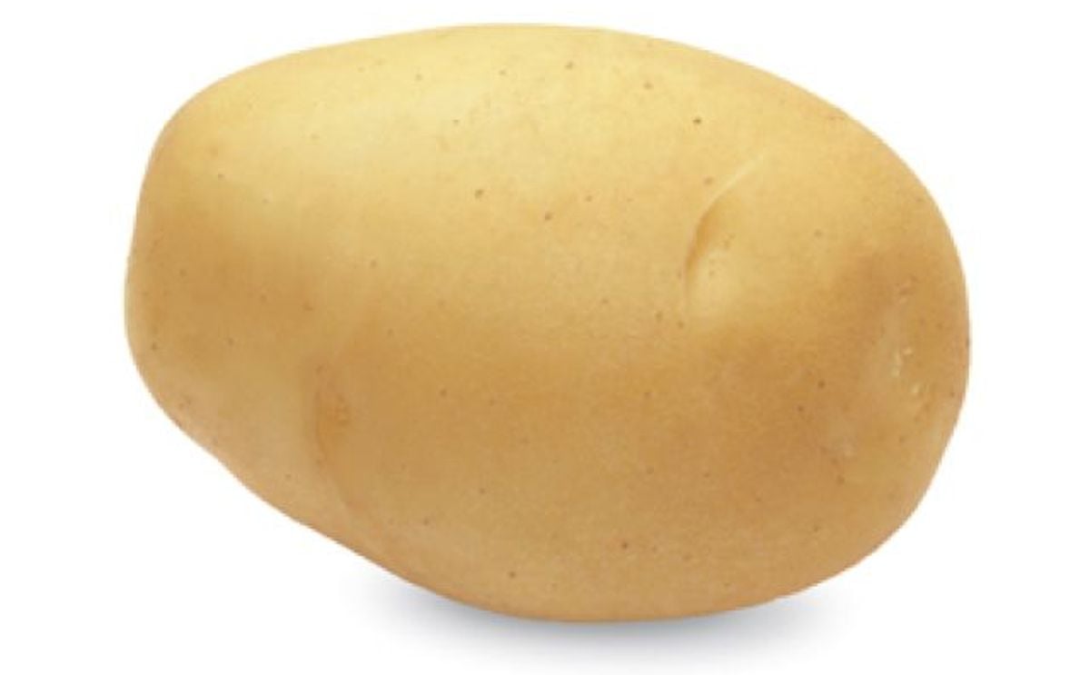 CARLITA CARLITA