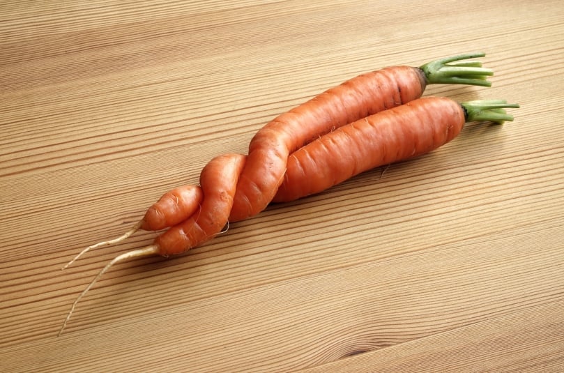 Fruit and vegetables are thrown away based on physical, misshapen appearance. TOMRA Sorting Food can help processors sort out such products for other purposes. Fruit and vegetables are thrown away based on physical, misshapen appearance. TOMRA Sorting Food can help processors sort out such products for other purposes.