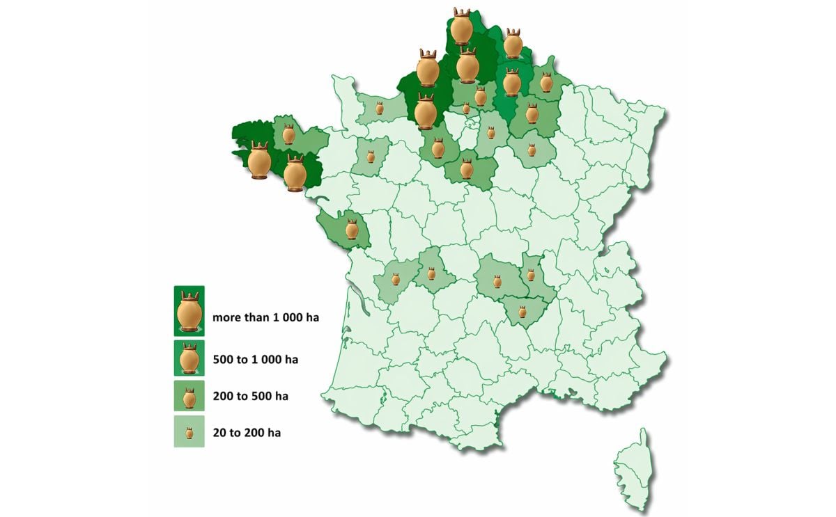 Producción de papa en Francia Producción de papa en Francia