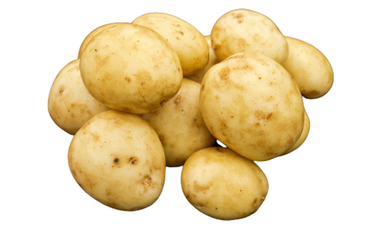 Casablanca Casablanca