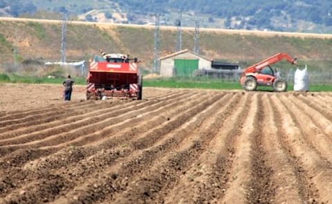Castile and Leon potato planting Castile and Leon potato planting