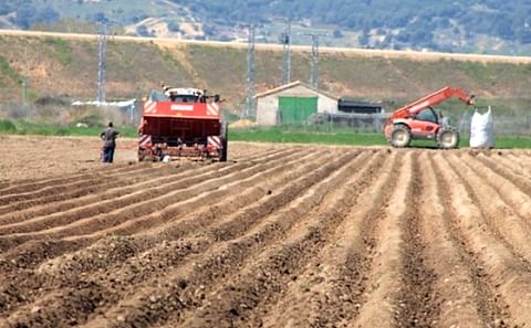 Castile and Leon potato planting Castile and Leon potato planting