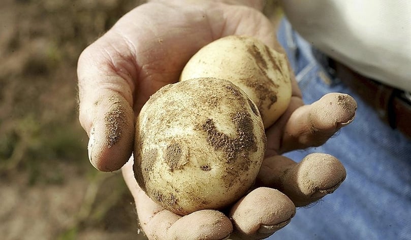 Producir un kilo de patata cuesta 12,5 céntimos y se está pagando a 6. Producir un kilo de patata cuesta 12,5 céntimos y se está pagando a 6.
