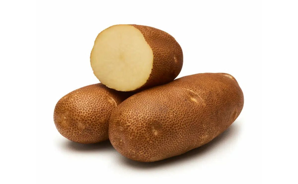CASTLE RUSSET