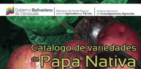 Catálogo de variedades de papa nativa de Mérida, Venezuela