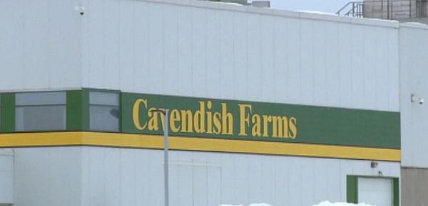  Cavendish Farms