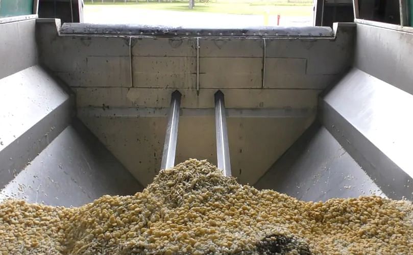 About 12 trucks a day unload waste at the Cavendish Farms biogas facility. The mixture includes peels and unusable potatoes from the company's nearby french-fry plant. Bacteria in the digesters break down carbon in the potato waste.
One of the byproducts is biogas which fuels the boilers in the company's nearby french-fry processing facility.