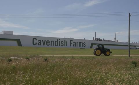 Cavendish Farms in P.E.I. is pictured. Cavendish Farms in P.E.I. is pictured.