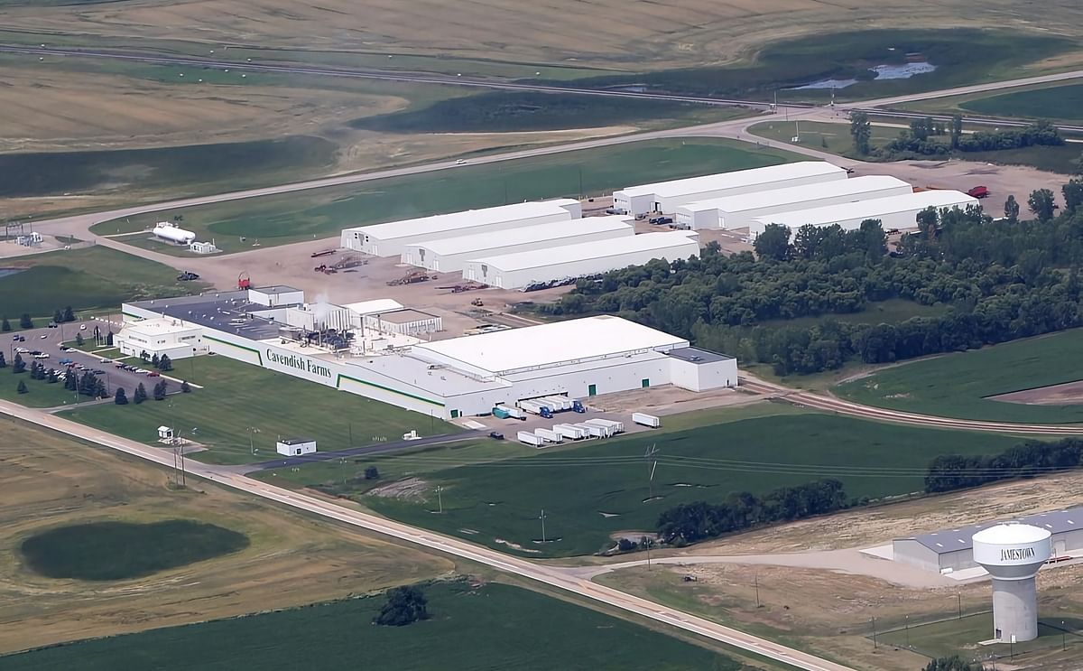 Cavendish Farms Jamestown reduces potato imports from Manitoba