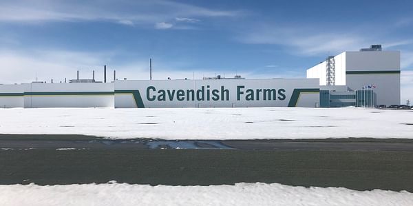 Cavendish Farms Lethbridge (Alberta)