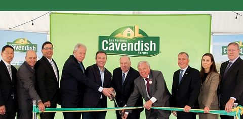 Frozen Potato Processing Plant of Cavendish Farms in Alberta oficially open