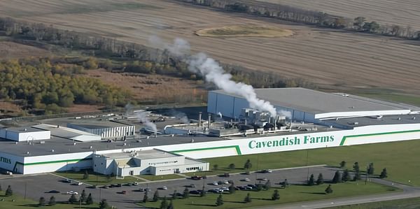Cavendish Farms French Fry Factory - New Annan, PEI