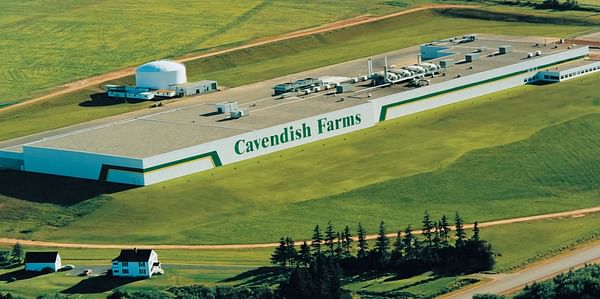 Cavendish Farms Plant in New Annan
