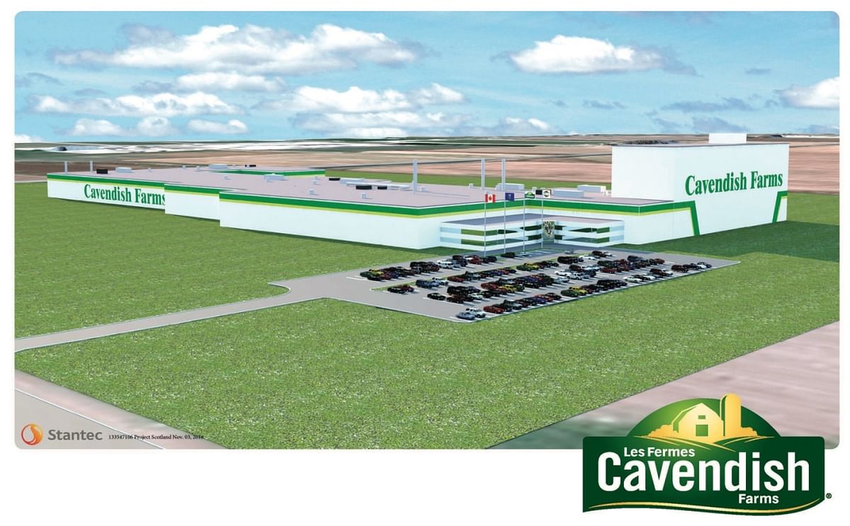 Artist rendering of the new potato processing plant to be constructed in Lethbridge Alberta by Cavendish Farms 