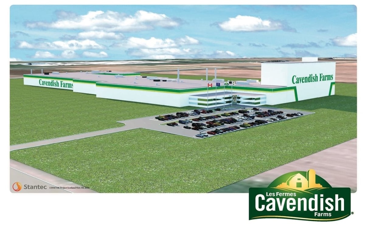United Potato Growers of Canada: New Alberta processing plant good news for whole industry United Potato Growers of Canada: New Alberta processing plant good news for whole industry