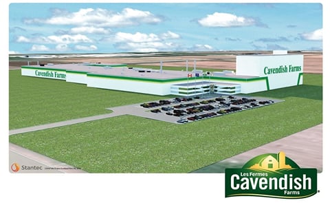 Artist rendering of the new potato processing plant to be constructed in Lethbridge Alberta by Cavendish Farms Artist rendering of the new potato processing plant to be constructed in Lethbridge Alberta by Cavendish Farms