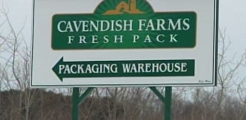 Cavendish Farms suspends potato farming operations in Presque Isle