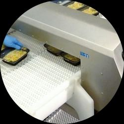 THS/MS21 Metal Detector