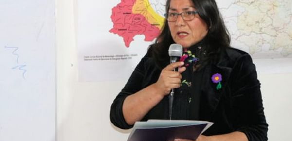Celfia Obregón Ramírez, directora del Centro de Innovación Tecnológica de la Papa y otros Cultivos Andinos [CITE Papa]. (Cortesía: Agraria Pe)