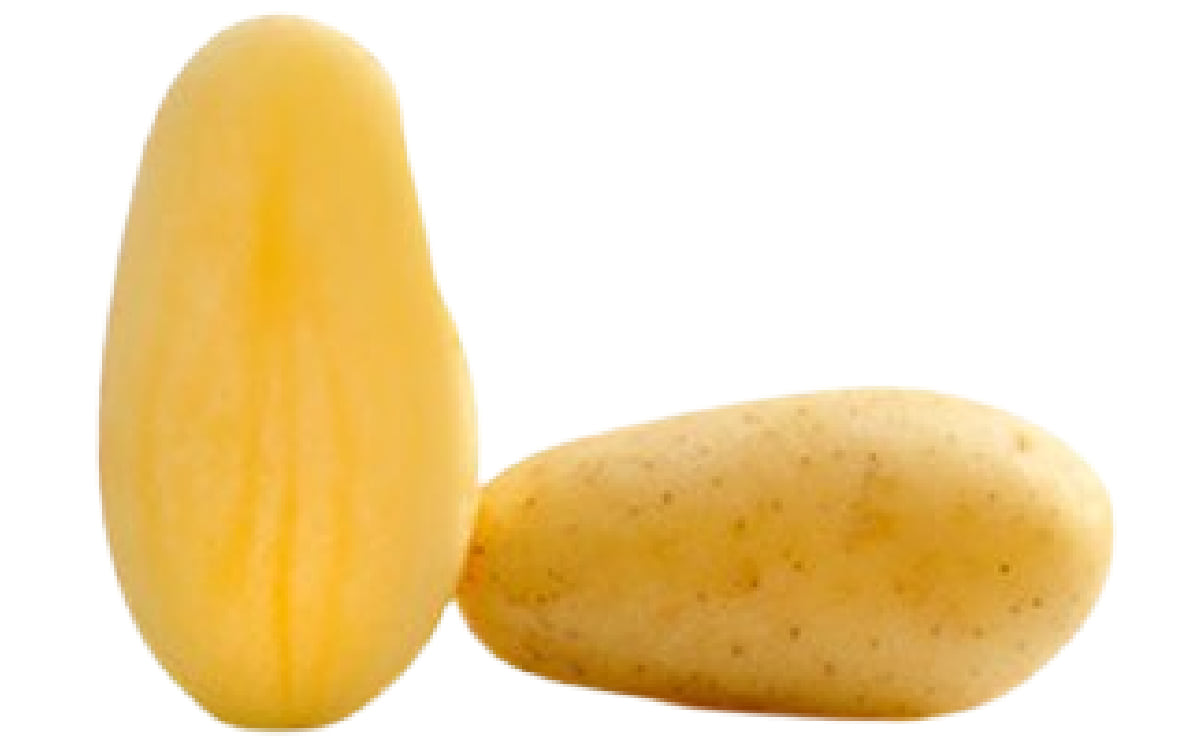 Celtiane Celtiane